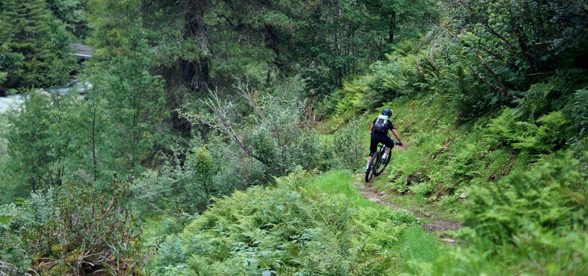 Escursione in mountain bike su sentieri single track
